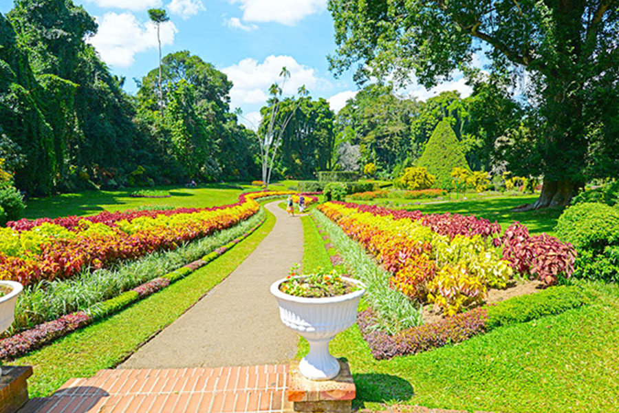 Perandeniya Botanical Gardens, Kandy